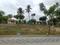 Kodigehalli, K R Puram Plot View 2