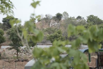 Image of 5000 Sq.ft Residential Plot / Land for sale in Rewild Doddaballapura, Doddaballapura, Bengaluru for Rs. 20000000