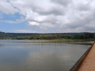 Image of 126324 Sq.ft Residential Plot / Land for sale in Vamanjoor, Mangalore for Rs. 53650000