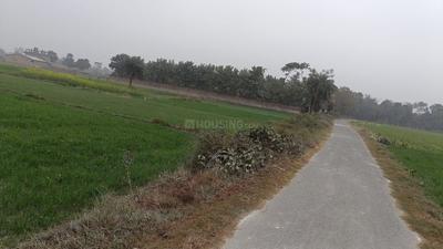 Image of 1200 Sq.ft Residential Plot / Land for sale in Sampatchak, Patna for Rs. 2500000