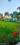 Numex City Plot View 2