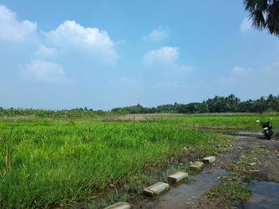 Image of 1800 Sq.ft Residential Plot / Land for sale in Natures Paradise, Joka, Kolkata for Rs. 425000