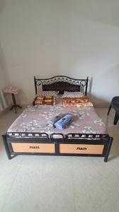 Bedroom Image of 1938 Sq.ft 2 BHK Apartment / Flat for rent in Canacona Industrial Estate Goa for Rs. 29999