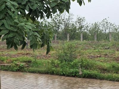 Image of 990 Sq.ft Residential Plot / Land for sale in Trident Hills 1, Sector 4, Panchkula for Rs. 17000000
