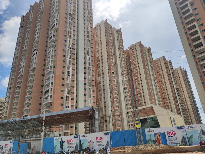 Honer Aquantis Main Image 1