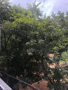 Bedroom Three Image of 3150 Sq.ft 5 BHK Apartment / Flat for sale in Talaghattapura Bengaluru for Rs. 29000020