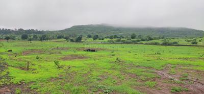 Image of 22560 Sq.ft Residential Plot / Land for sale in Trimbak, Nashik for Rs. 3100000