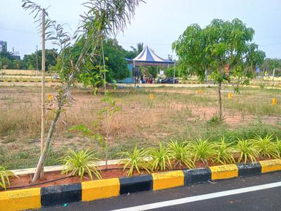 Residential Plot