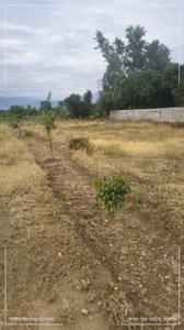 Dharmawale Plot View 2