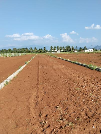 Narasothipatti More Images 1