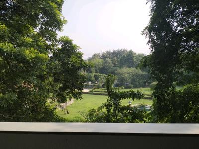 Bedroom Four Image of 4501 Sq.ft 4 BHK Builder Floor for sale in Model Town New Delhi for Rs. 90000000