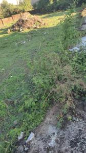 Image of 2250 Sq.ft Residential Plot / Land for sale in Sahastradhara Road, Dehradun for Rs. 17500000