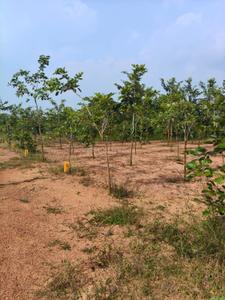 Image of 200 Sq.ft Residential Plot / Land for sale in Kothavalasa, Visakhapatnam for Rs. 900000