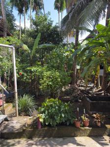 Image of 1300 Sq.ft 2 BHK Independent House for sale in Eroor, Kochi for Rs. 15000000