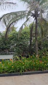 Image of 1075 Sq.ft Residential Plot / Land for sale in Thiruvallur, Chennai for Rs. 3440000