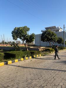 Image of 2250 Sq.ft Residential Plot / Land for sale in Sangowal, Ludhiana for Rs. 7500000