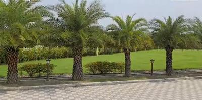 Image of 1000 Sq.ft Residential Plot / Land for sale in Sahu Kalpana Residency, Mohanlalganj, Lucknow for Rs. 3000000