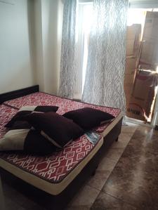 Bedroom Image of 1350 Sq.ft 3 BHK Apartment / Flat for rent in Rise Organic Homes Phase 1, Mahurali Ghaziabad for Rs. 30000