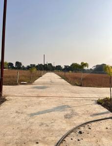 Image of 15000 Sq.ft 4 BHK Farm House for sale in Maksi, Bhopal for Rs. 24750000