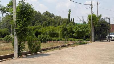 Image of 1800 Sq.ft Residential Plot / Land for sale in Amiliha, Kanpur for Rs. 1625000