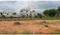 B N Reddy Nagar Plot View 2