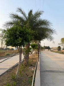 Image of 1152 Sq.ft Residential Plot / Land for sale in Torwa, Bilaspur for Rs. 1584000