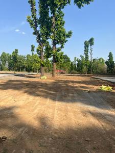 Raipur Plot View 3
