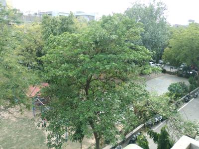 Living Room Image of 1250 Sq.ft 2 BHK Apartment / Flat for rent in Dwarkadheesh Apartment, Sector 12 Dwarka New Delhi for Rs. 33000