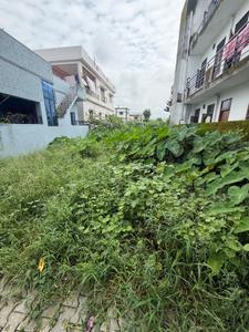 Badripur Jogiwala Plot View 1