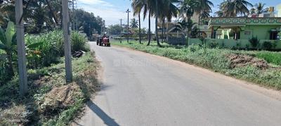 Sri Banashanki layout  Plot View 2