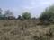 Rohini Sector 28 Main Image 1