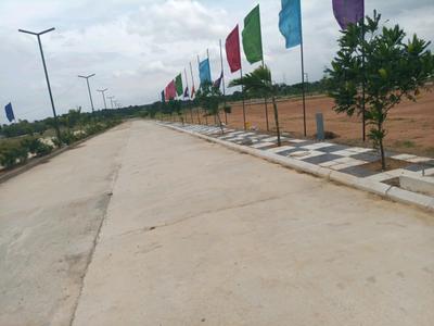 Century Nature City Internal Roads 1