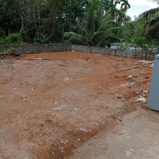 Uliyannoor Main Image 1