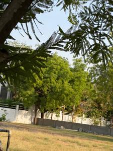 Image of 2500 Sq.ft Residential Plot / Land for sale in Ambli, Ahmedabad for Rs. 520000000
