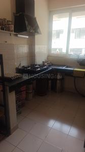 Kitchen Image of 1160 Sq.ft 2 BHK Apartment / Flat for sale in TDI Wellington Heights, Sector 117 Mohali for Rs. 7800000
