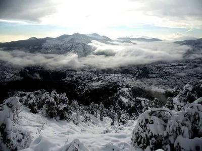 Image of 2160 Sq.ft Residential Plot / Land for sale in Mukteshwar, Nainital for Rs. 2500000