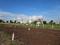Wagholi Plot View 2