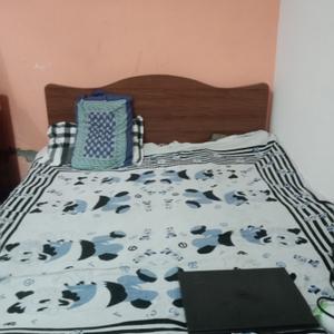 Bedroom Image of 540 Sq.ft 2 BHK Independent House for rent in Noida Extension Greater Noida for Rs. 14000