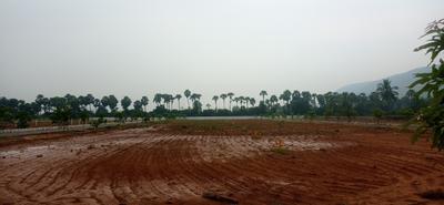 Image of 1000 Sq.ft Residential Plot / Land for sale in Atchutapuram, Visakhapatnam for Rs. 2800000