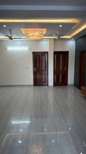 Hall Image of 1800 Sq.ft 3 BHK Apartment / Flat for rent in Sector 46 Chandigarh for Rs. 40000