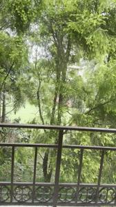 Balcony Image of 1130 Sq.ft 2 BHK Apartment / Flat for rent in Clover Casablanca, Jambhul Pune for Rs. 18000