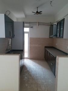 Kitchen Image of 1535 Sq.ft 3.5 BHK Apartment / Flat for sale in Amrapali Silicon City, Sector 76 Noida for Rs. 16200000