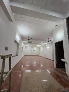 Hall Image of 1200 Sq.ft 1 BHK Independent House for rent in Bhadu Market Jodhpur for Rs. 20000