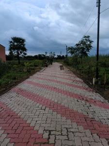 Nest Valley Internal Roads 2