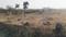 Dahava Mail Main Image 1