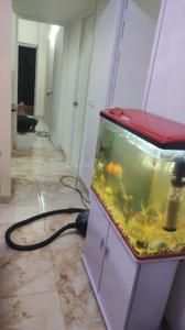 Kitchen Image of 750 Sq.ft 2 BHK Apartment / Flat for sale in SKA Metro Ville, Eta II Greater Noida for Rs. 8500000