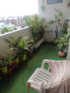 Balcony Image of 1900 Sq.ft 3 BHK Apartment / Flat for rent in Felicity Roongtas Aventura, Ghati Karolan Jaipur for Rs. 50000