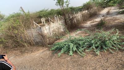 Image of 1000 Sq.ft Residential Plot / Land for sale in Narthan, Surat for Rs. 2000000