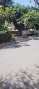 Image of 1000 Sq.ft Residential Plot / Land for sale in Palam Vihar, Gurgaon for Rs. 195000000