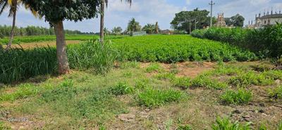 Image of 1200 Sq.ft Residential Plot / Land for sale in Devanahalli, Bengaluru for Rs. 1100000